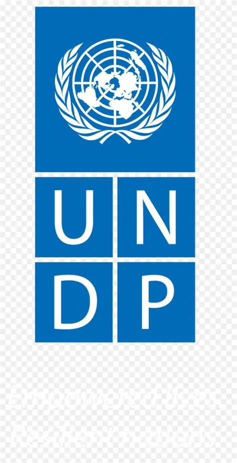 UNDP logo